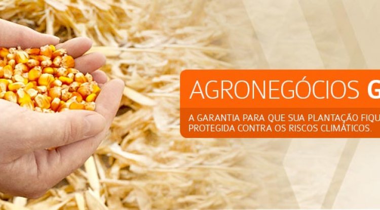 Seguro Agronegócios Grãos é na Villarim Seguros!  - Ligue agora! (11) 91291 5070 Whats